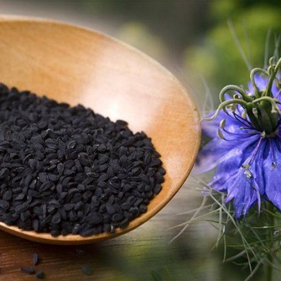 কালোজিরা ফুলের মধু: স্বাস্থ্য সুরক্ষায় প্রাকৃতিক সমাধান